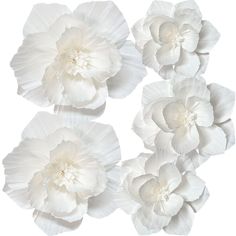 white flowers are arranged in the shape of four petals