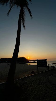 the sun is setting behind a palm tree