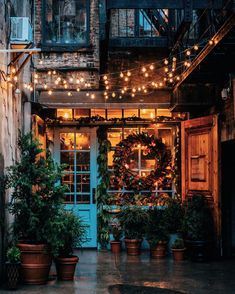 a building with potted plants in front of it and lights strung from the windows