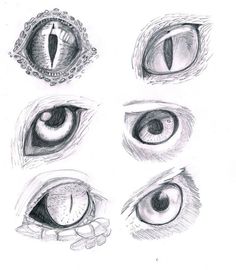 the different types of eyes are shown in this drawing