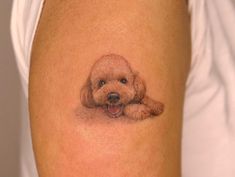 Poodle Tattoo, minimalist poodle tattoo, poodle tattoo ideas, toy poodle tattoo, poodle tattoo outline, standard poodle tattoo, simple poodle tattoo, geometric poodle tattoo, traditional poodle tattoo, black poodle tattoo, mini poodle tattoo, small poodle tattoo, cute poodle tattoo, realistic toy poodle tattoo, poodle tattoo designs, minimalist toy poodle tattoo, small simple poodle tattoo, minimalist poodle tattoo designs, french poodle tattoo, poodle tattoo images, cartoon poodle tattoo