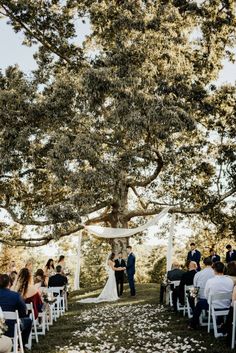 a couple getting married under a large tree