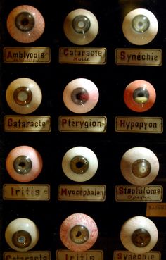 there are many different types of eyeballs on display