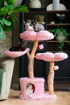 a cat tree with three kittens in it