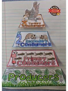 three pyramids with the words secondary and secondary consumers written on them