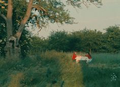 two people sitting at a table in the middle of a grassy field under a tree