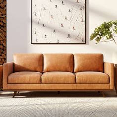 a tan leather couch in front of a wall with skis on it and a plant