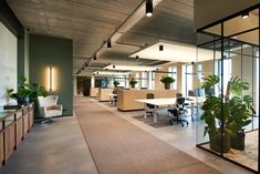 an office with glass walls and plants on the desks