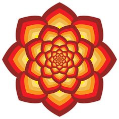 a red and yellow flower on a white background illustration in the form of a lotus