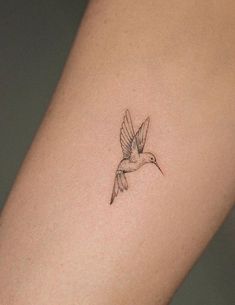 a small hummingbird tattoo on the arm