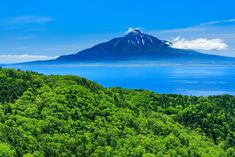 a large mountain with trees in the foreground and water in the background on a sunny day