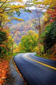 an empty road surrounded by trees with fall foliage on the sides and mountains in the background