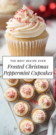 Image for Frosted Christmas Peppermint Cupcakes Simple Christmas Cupcakes, Christmas Frosting, Snowflake Cupcakes, Peppermint Cupcakes, Winter Cupcakes, Holiday Flavors, Cupcake Day, Christmas Peppermint, Gluten Free Candy