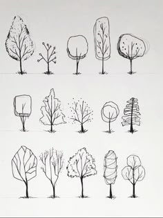 various types of trees are shown in this drawing