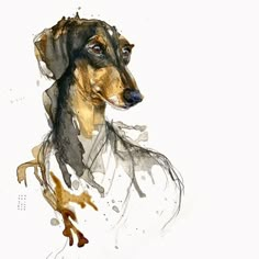 a drawing of a dachshund wearing a white shirt