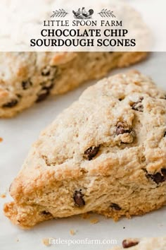 chocolate chip sourdough scones with text overlay