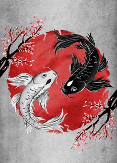 two black and white koi fish in front of a red circle