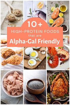 the top ten high protein foods that are alpha - gal friendly