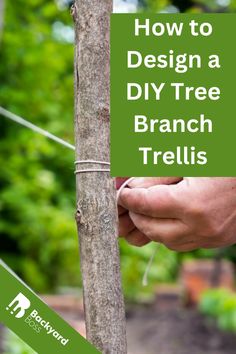 a hand holding a tree branch with the words how to design a diy tree branch trellis