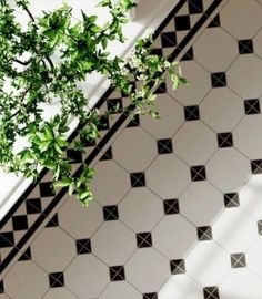 a black and white tiled floor with a tree in the corner on top of it