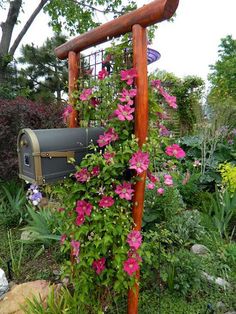 a wooden post with pink flowers growing on it in a garden next to a mailbox