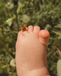 a baby's foot with a tiny ladybug on the tip of it