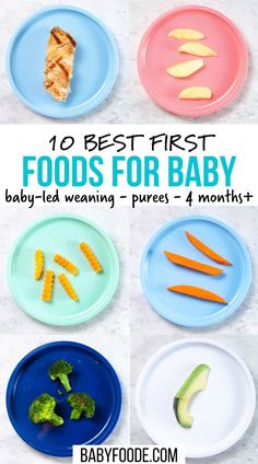 baby food on plates with the words 10 best first foods for baby