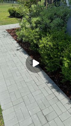 a white fire hydrant sitting on the side of a brick road next to a lush green field