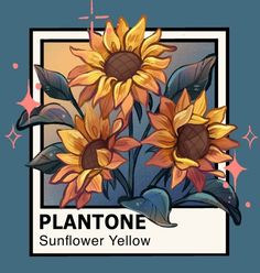 the sunflower yellow is in front of a blue background