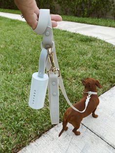 a person is holding a leash attached to a small brown dog on a leash with a white handle