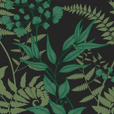 green leaves and ferns on a black background wallpaper design by william & mary cole