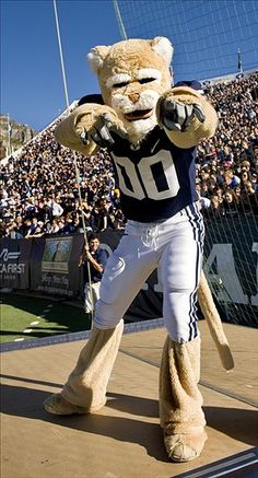 a mascot is standing on the sidelines in front of a large group of people