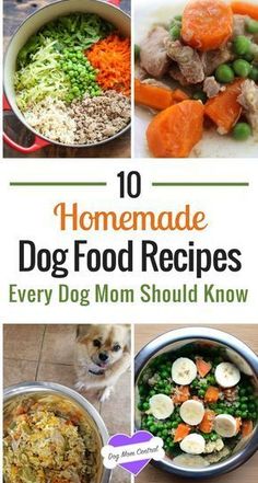 10 homemade dog food recipes for every dog mom should know about them and how to use them