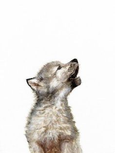 a painting of a baby wolf looking up at the sky with its mouth wide open