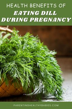 7 Health Benefits Of Eating Dill During Pregnancy.
#dill #dillduringpregnancy #dillbenefits #eatingdillinpregnancy #regnancyfood #healthcare #healthbenefits