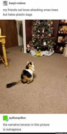 a cat sitting on the floor looking up at a christmas tree in front of it