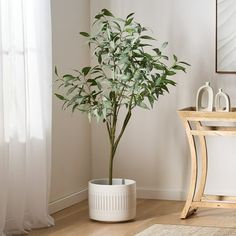 a potted plant sitting on top of a wooden table next to a white vase