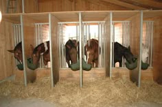 four horses are in their stalls eating hay