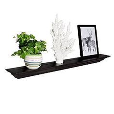 there is a potted plant sitting on a shelf next to a framed photo and an antelope