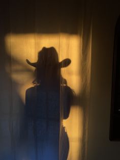 the shadow of a person standing in front of a curtain with a cow's head on it