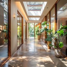 a long hallway with large windows and potted plants