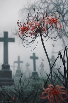 an image of a cemetery with flowers in the foreground