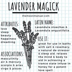 Lavender In Witchcraft, Lavender Witchcraft Uses, Lavender Witchcraft, Witch Diary, Modern Farmhouse Kitchen Decor Ideas, Lavender Witch, Chic Modern Farmhouse