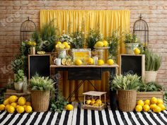 lemons and other fruit are displayed in front of a brick wall with yellow drapes