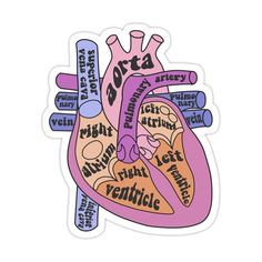 the human heart sticker is shown in pink and blue, with words written on it