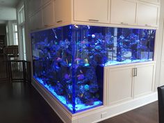 an aquarium in the middle of a kitchen with white cabinets and cupboards on either side