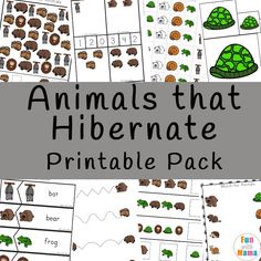 the animals that hibernate printable pack is shown in several different colors and sizes