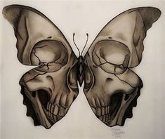 a drawing of two skulls with one butterfly on it's back and the other half open