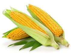 two ears of corn on a white background