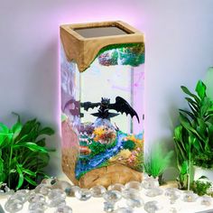 an aquarium with some plants and rocks in it